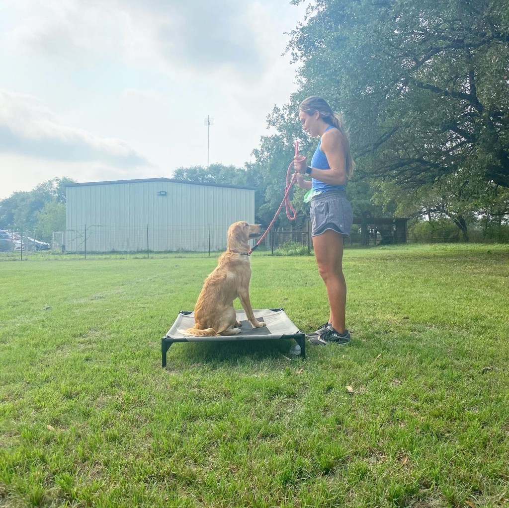 K9 Diet & Wellness&nbsp;Tips