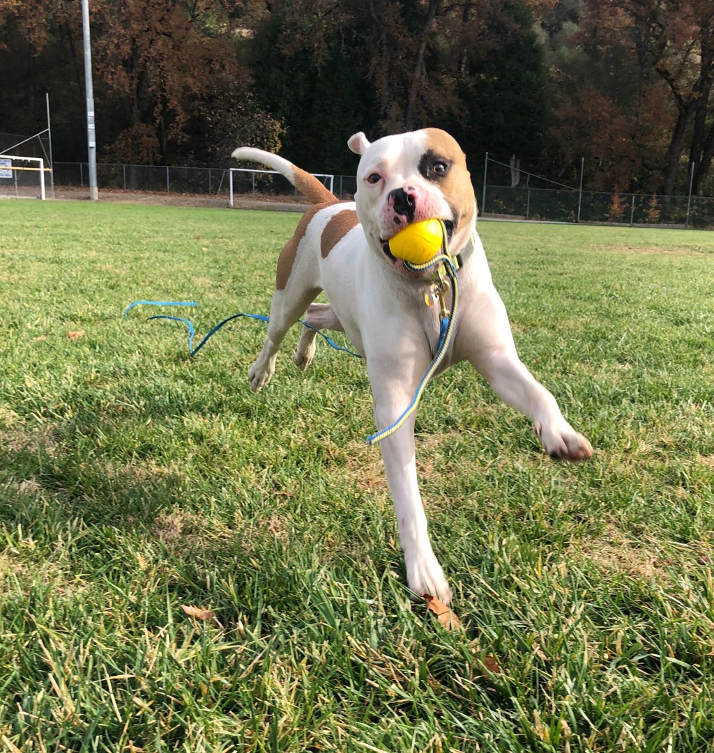 Too Much of Anything isn’t a Good Thing