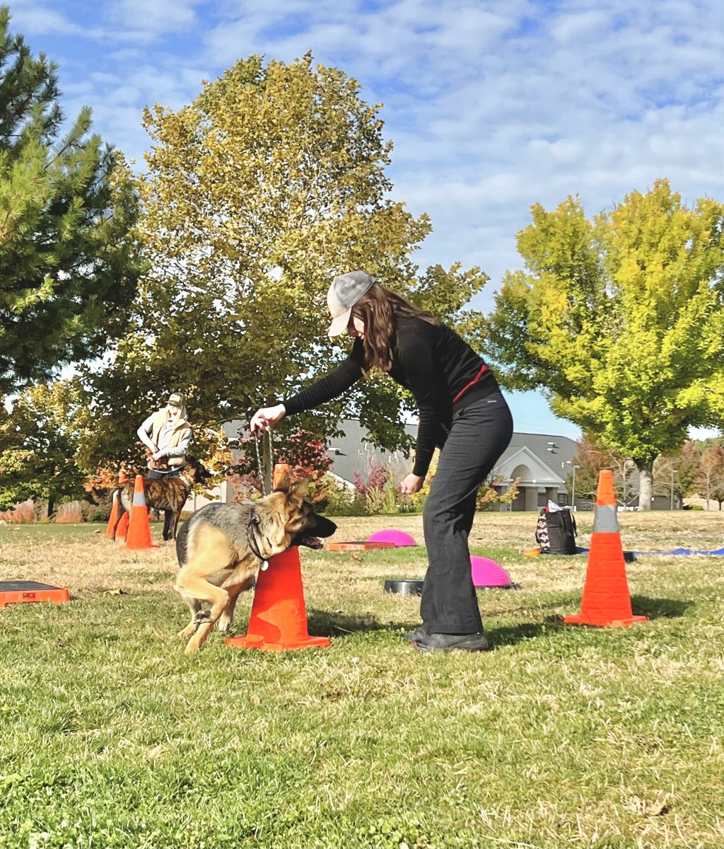 What & Why: Canine Fitness